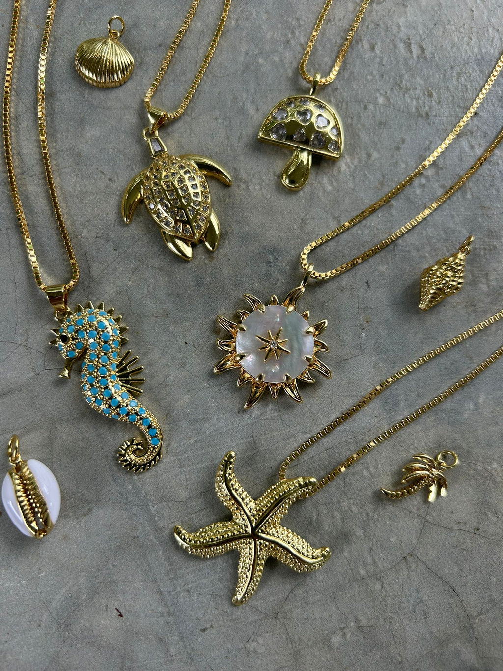 Jobos SeaHorse